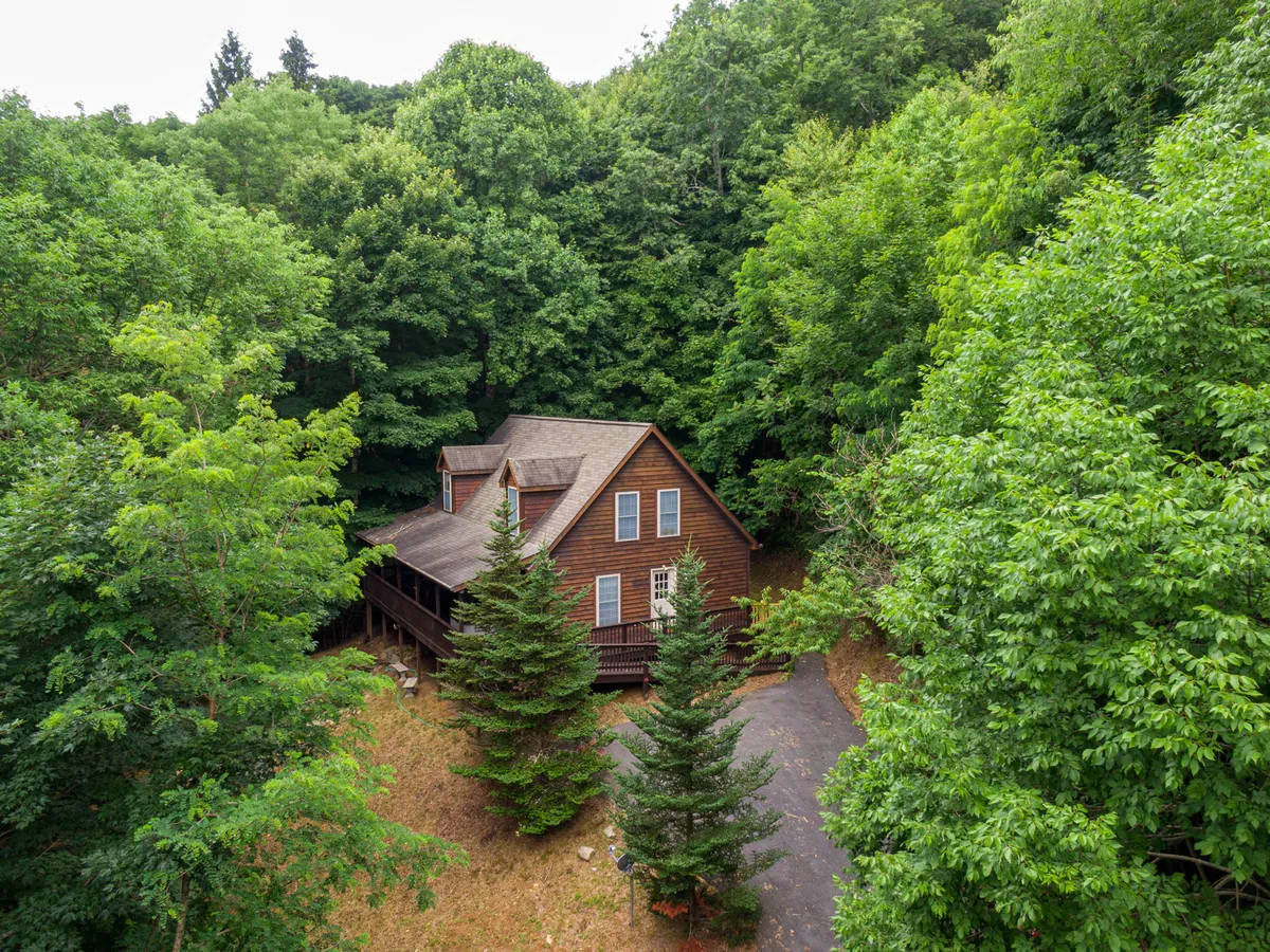 This exterior shot captures the inviting wooden house nestled among lush trees, with a driveway leading up to the home. The scene evokes a sense of tranquility and easy access to the surrounding nature, setting the stage for adventure-filled days exploring the High Country.